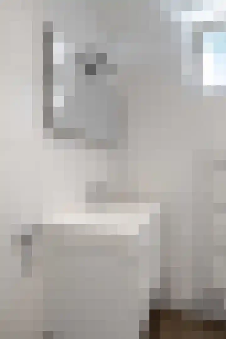 Dingenpad 6 Baflo thumbnail 34