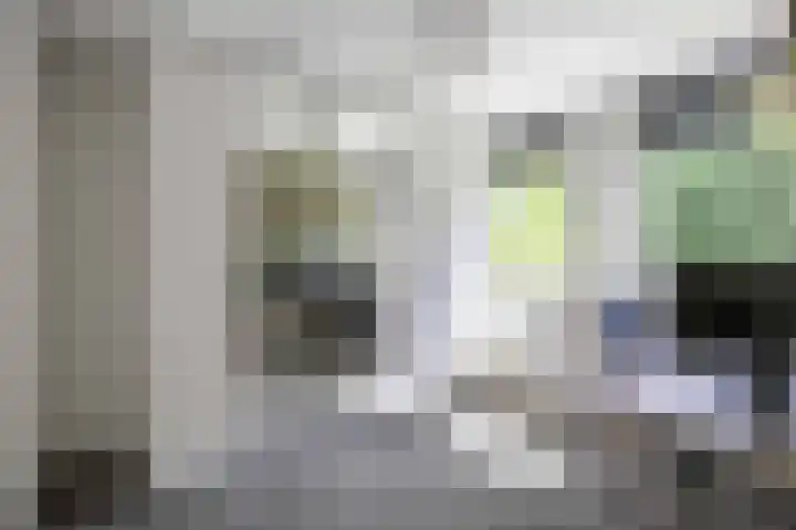 Dingenpad 6 Baflo thumbnail 35
