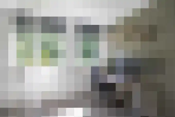 Dingenpad 6 Baflo thumbnail 36