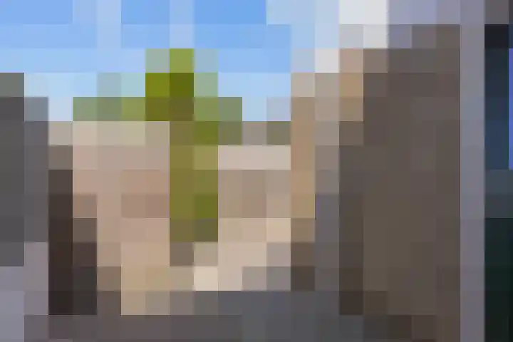 Dingenpad 6 Baflo thumbnail 38