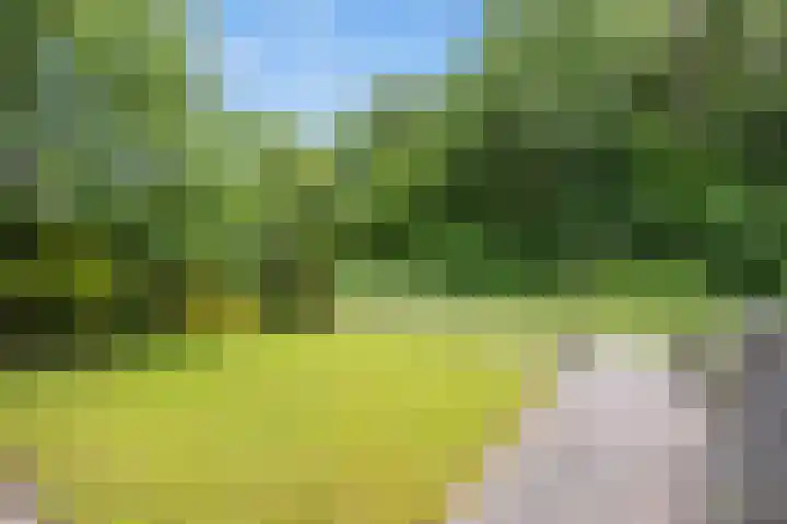 Dingenpad 6 Baflo thumbnail 4
