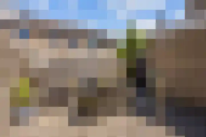 Dingenpad 6 Baflo thumbnail 40