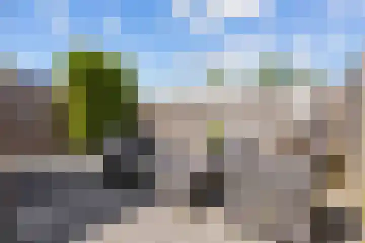 Dingenpad 6 Baflo thumbnail 42