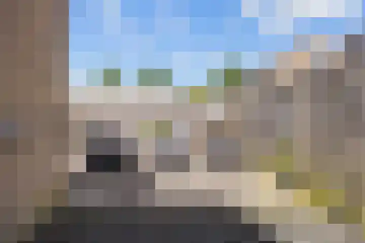Dingenpad 6 Baflo thumbnail 43
