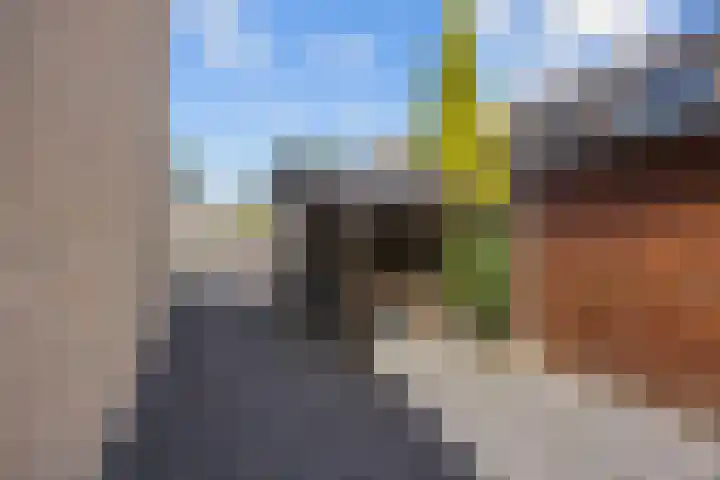 Dingenpad 6 Baflo thumbnail 44