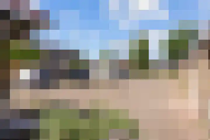 Dingenpad 6 Baflo thumbnail 45