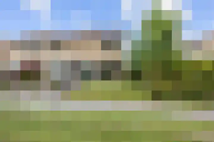 Dingenpad 6 Baflo thumbnail 46