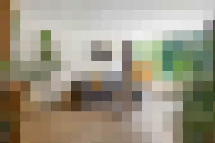 Dingenpad 6 Baflo thumbnail 9