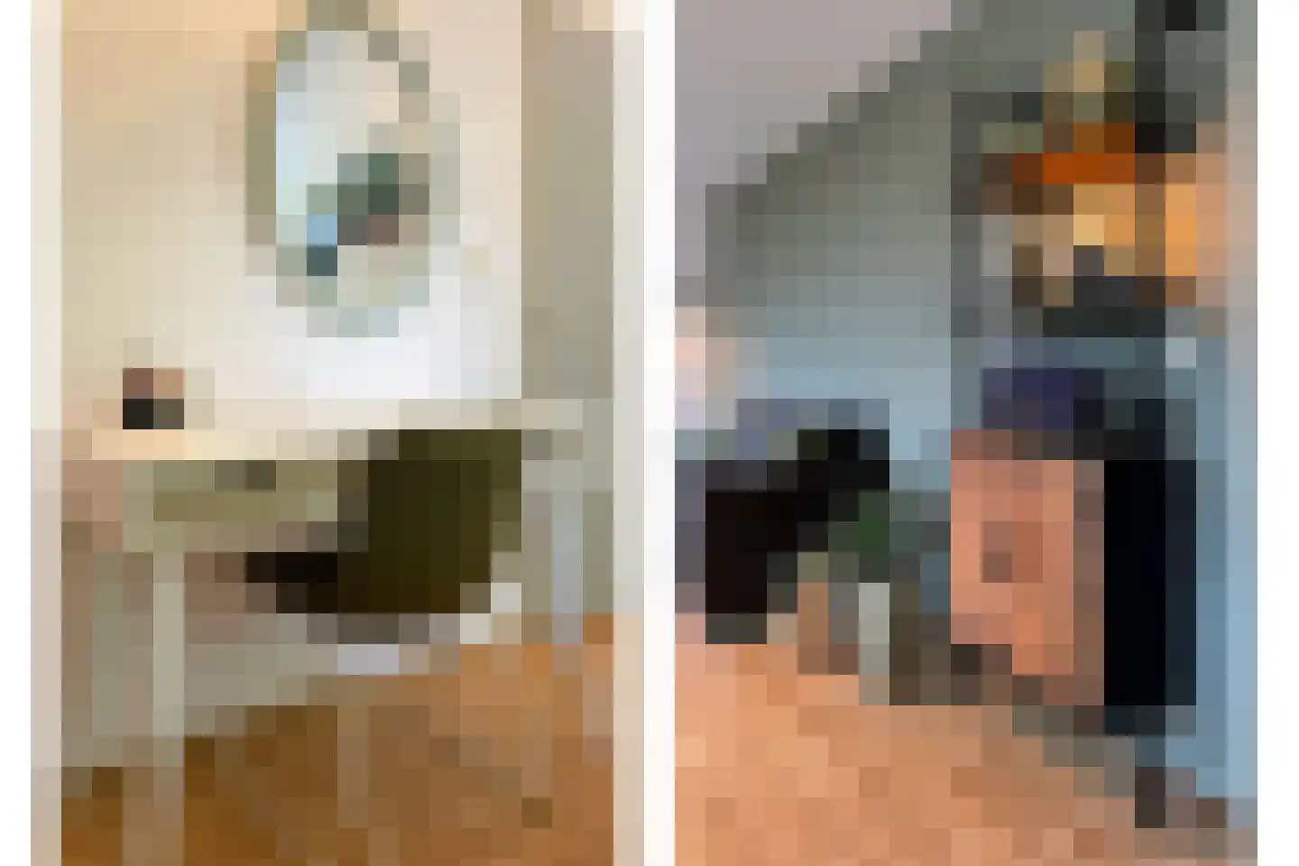 Dingmanshoofd 4 Vrouwenpolder thumbnail 10
