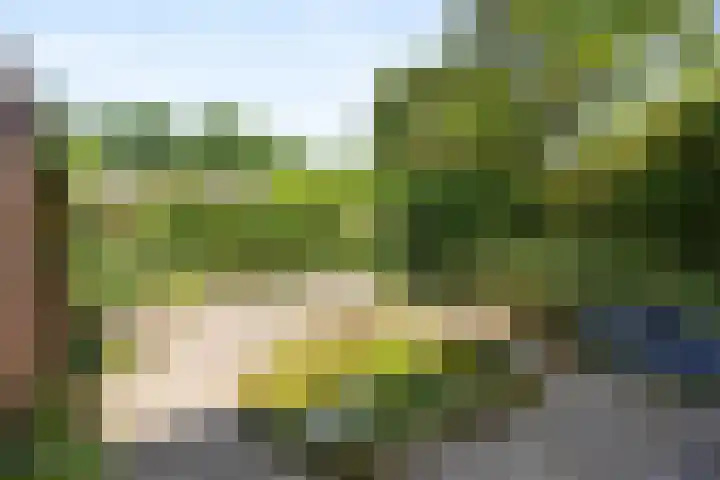 Dingostraat 120 Nijmegen thumbnail 32