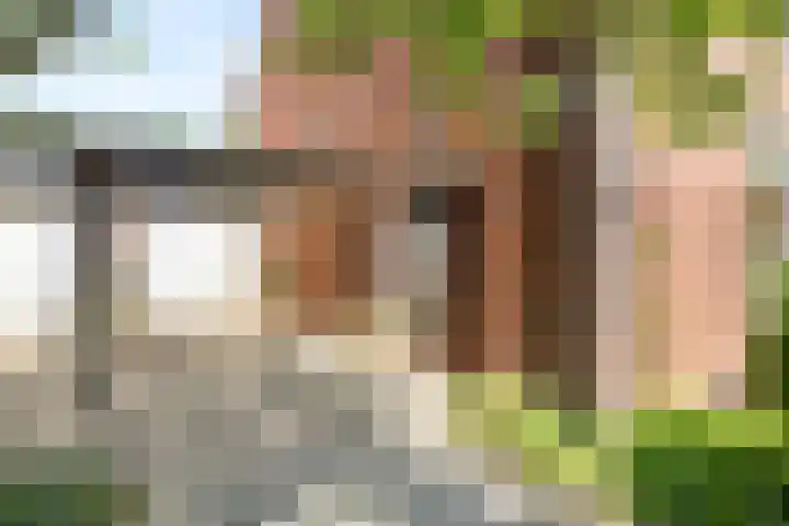 Dingostraat 120 Nijmegen thumbnail 33