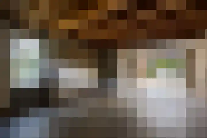 Dingostraat 120 Nijmegen thumbnail 34