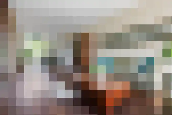 Dingostraat 120 Nijmegen thumbnail 5