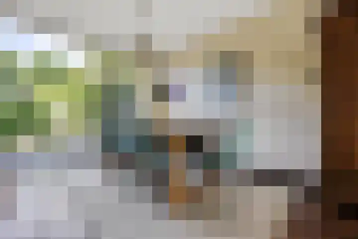 Dingostraat 120 Nijmegen thumbnail 8
