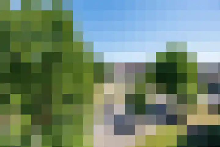 Dingostraat 28 Nijmegen thumbnail 20