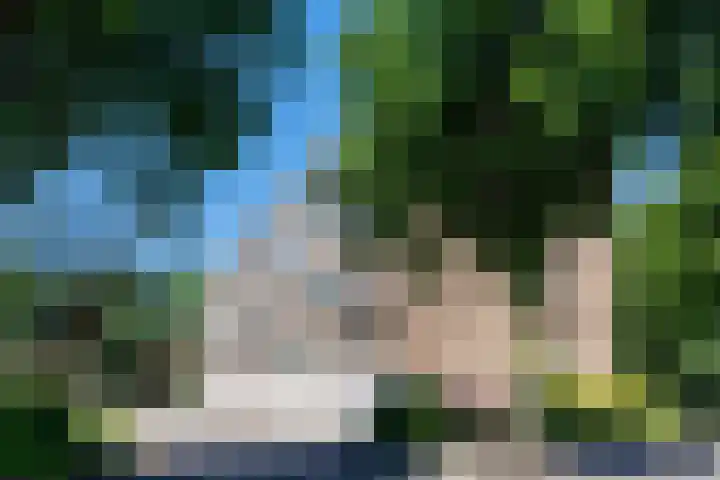 Dingostraat 28 Nijmegen thumbnail 26