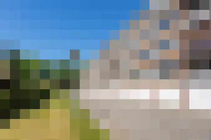 Dingostraat 28 Nijmegen thumbnail 28