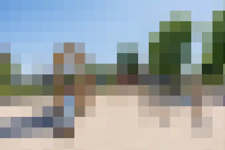 Dingostraat 28 Nijmegen thumbnail 29