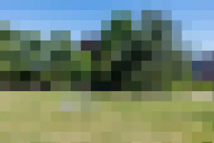 Dingostraat 28 Nijmegen thumbnail 31