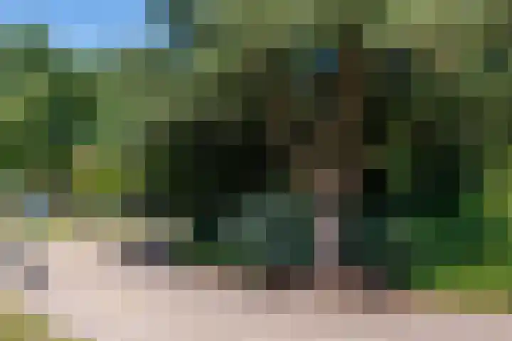 Dingostraat 28 Nijmegen thumbnail 32
