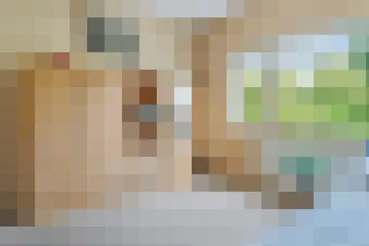 Dingostraat 46 Nijmegen thumbnail 26