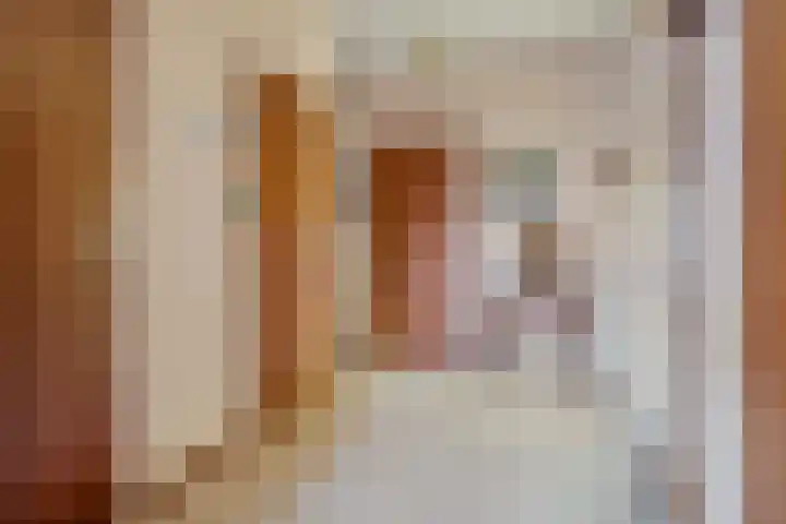Dingostraat 46 Nijmegen thumbnail 29
