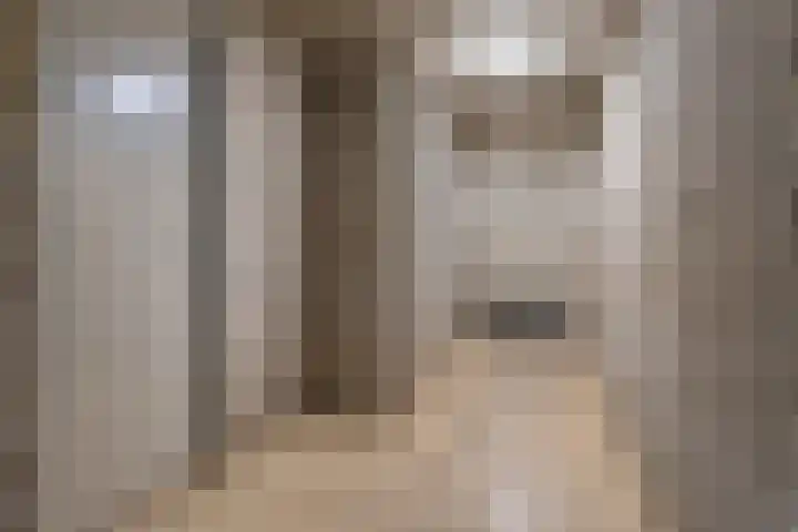 Dingostraat 46 Nijmegen thumbnail 32