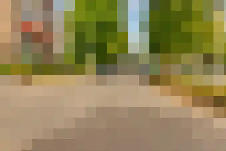 Dingostraat 46 Nijmegen thumbnail 38