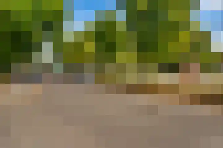 Dingostraat 46 Nijmegen thumbnail 39