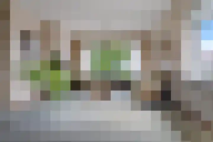 Dingostraat 46 Nijmegen thumbnail 4