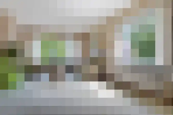 Dingostraat 46 Nijmegen thumbnail 6
