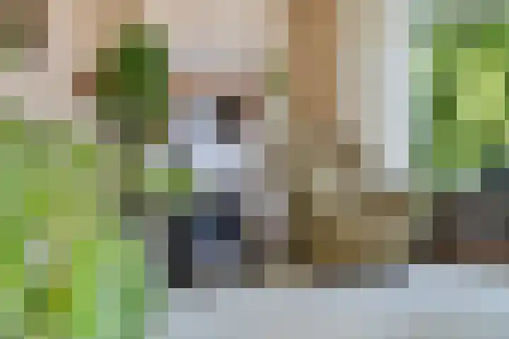 Dingostraat 46 Nijmegen thumbnail 7