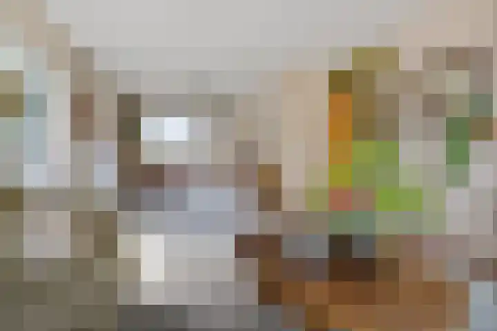 Dingostraat 46 Nijmegen thumbnail 9