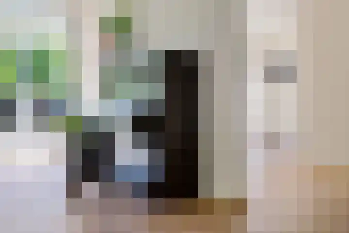 Dingostraat 61 Nijmegen thumbnail 16