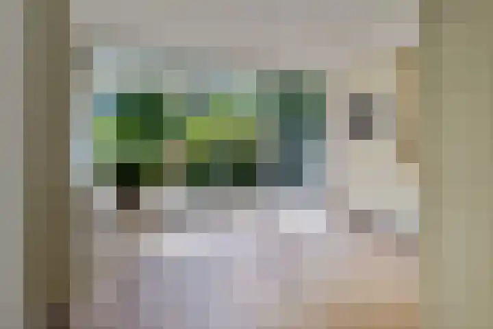 Dingostraat 61 Nijmegen thumbnail 21