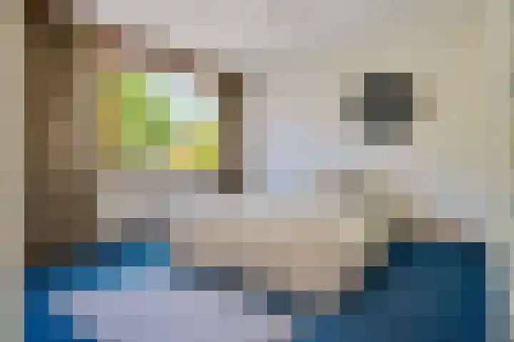 Dingostraat 61 Nijmegen thumbnail 32