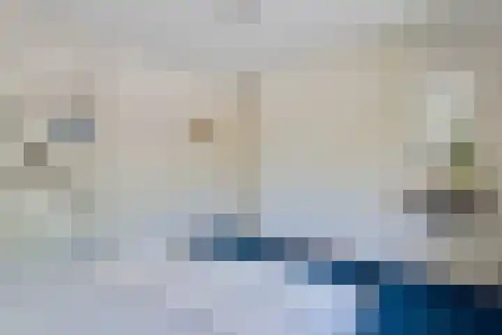 Dingostraat 61 Nijmegen thumbnail 33