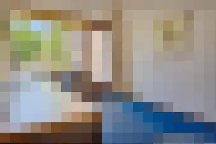 Dingostraat 61 Nijmegen thumbnail 41