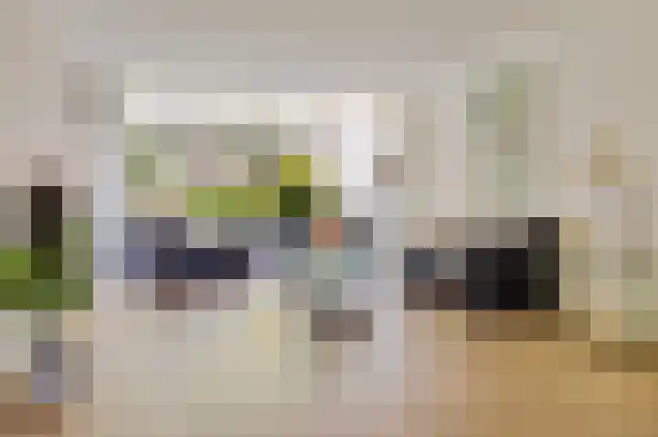 Dingostraat 61 Nijmegen thumbnail 5