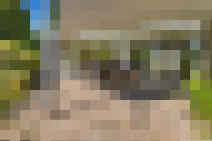 Dingostraat 61 Nijmegen thumbnail 56