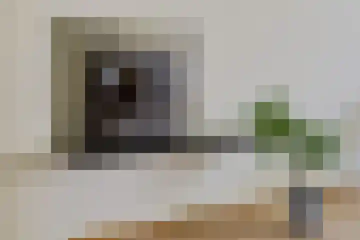Dingostraat 61 Nijmegen thumbnail 6