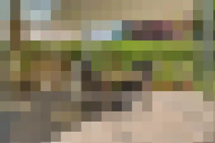 Dingostraat 61 Nijmegen thumbnail 61