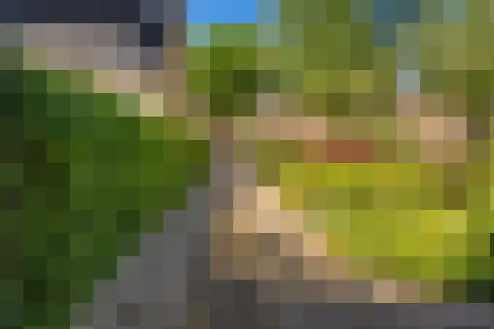 Dingostraat 61 Nijmegen thumbnail 65