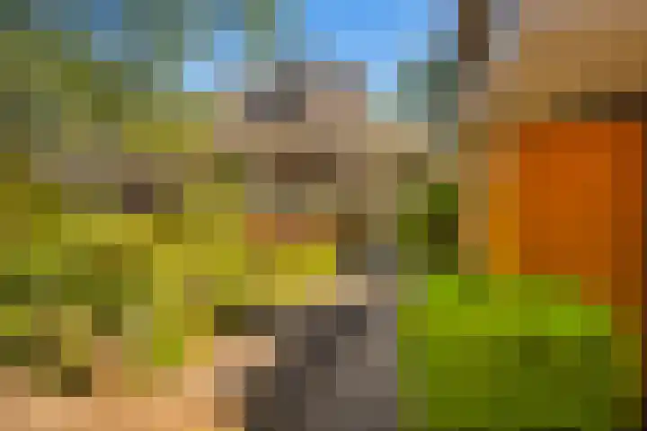 Dingostraat 61 Nijmegen thumbnail 71