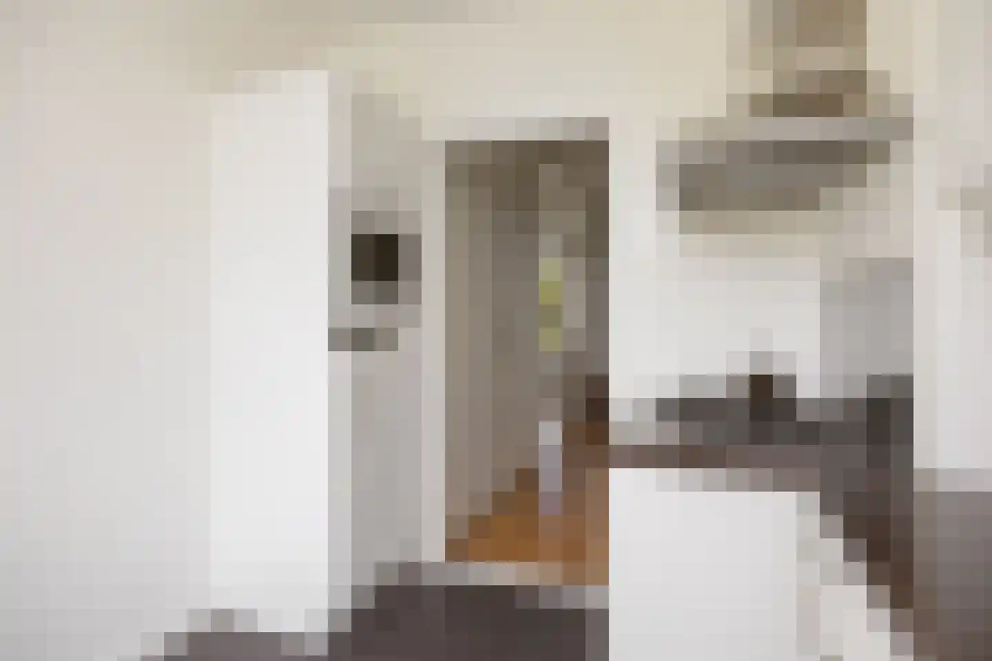 Dingostraat 8 Nijmegen thumbnail 12