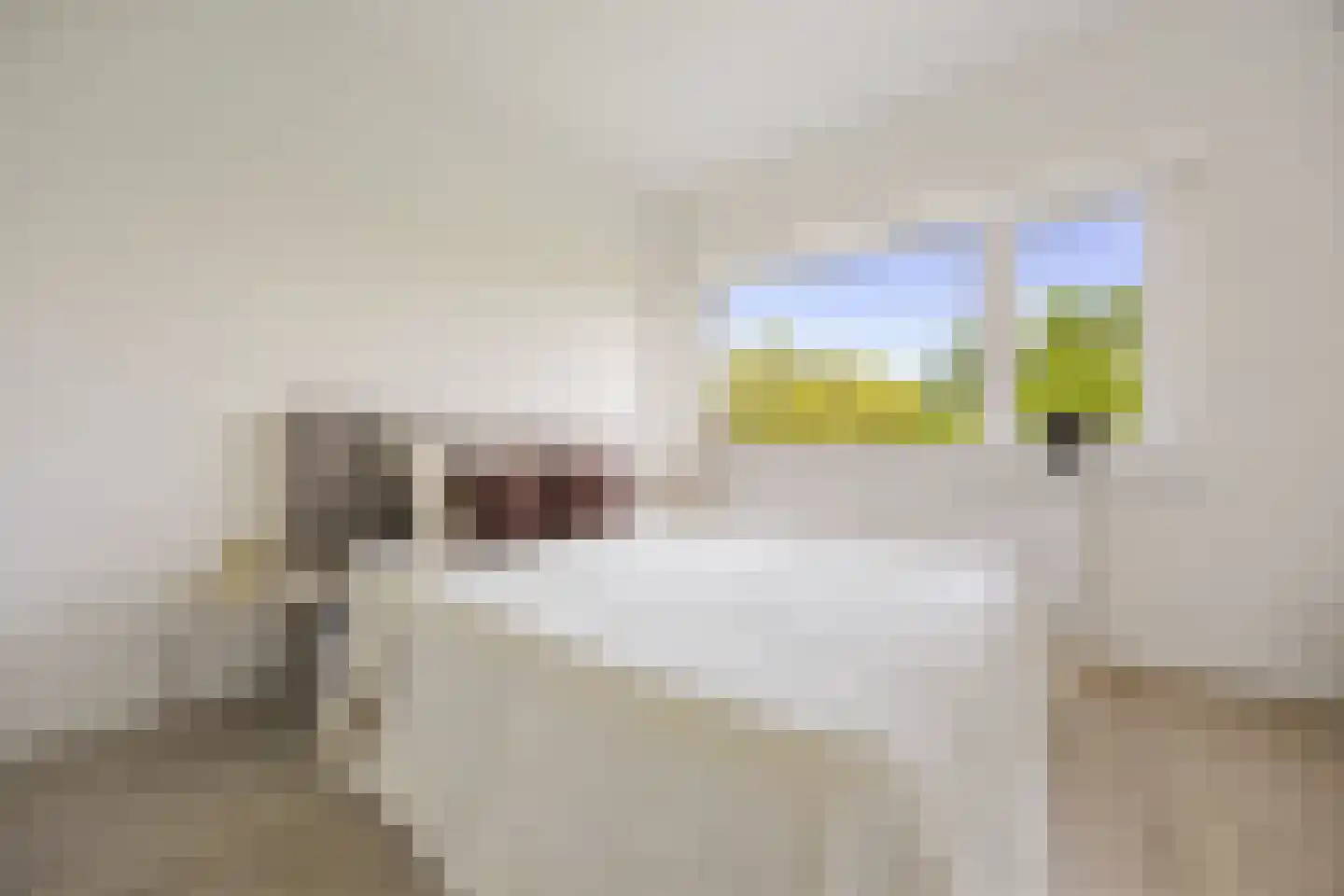 Dingostraat 8 Nijmegen thumbnail 15
