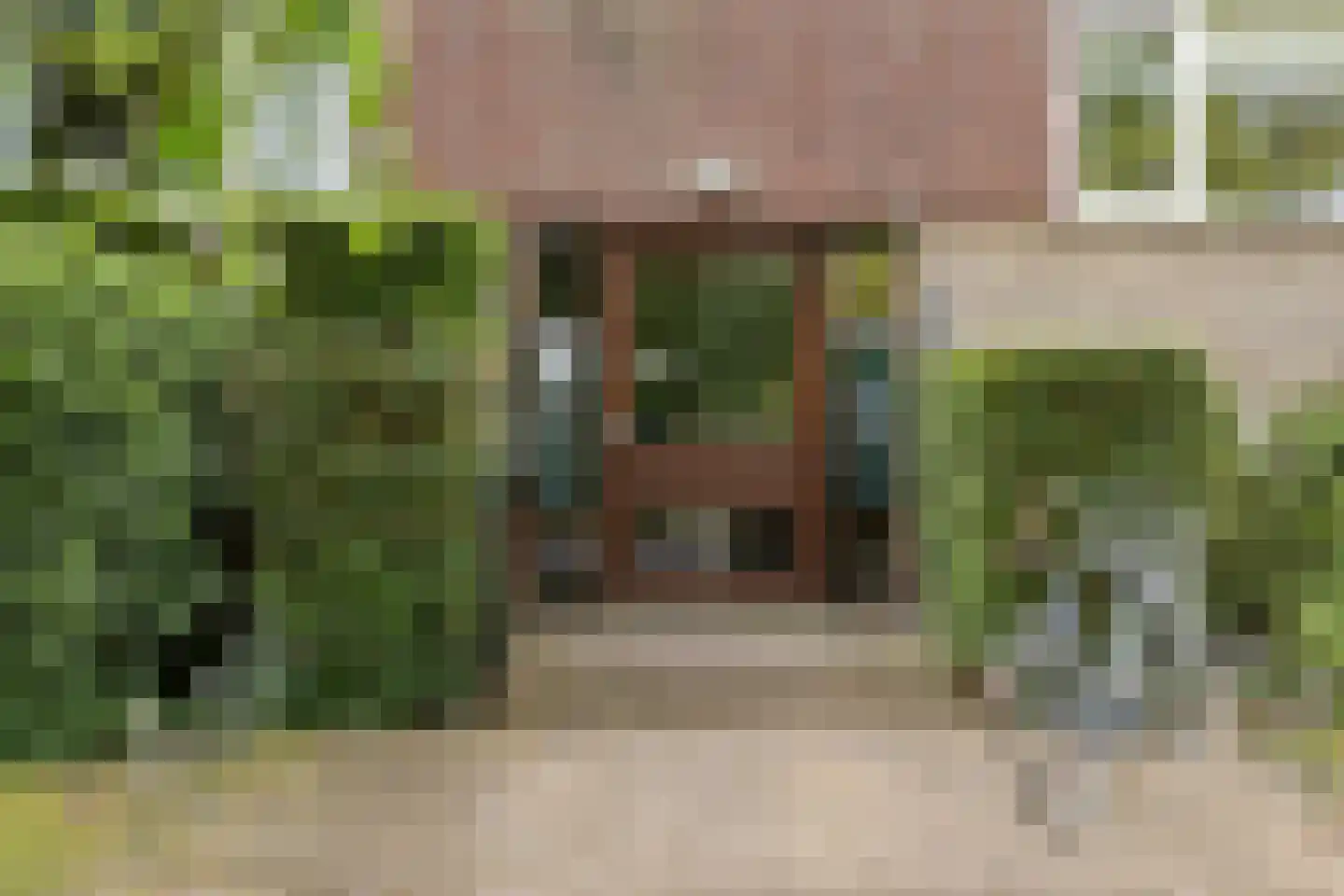 Dingostraat 8 Nijmegen thumbnail 21