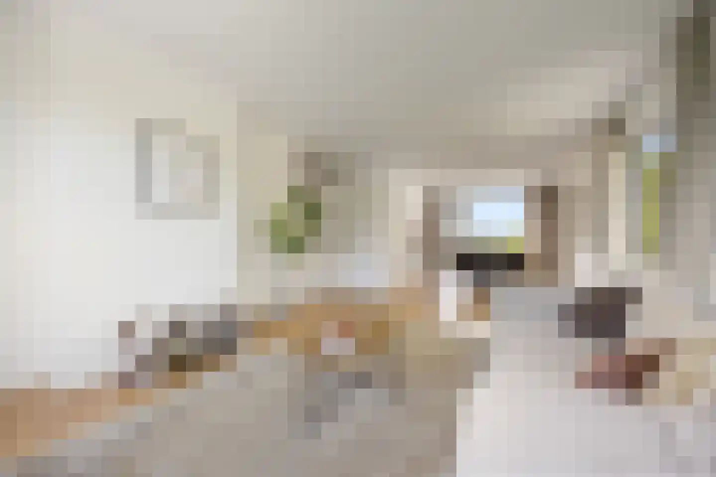 Dingostraat 8 Nijmegen thumbnail 5