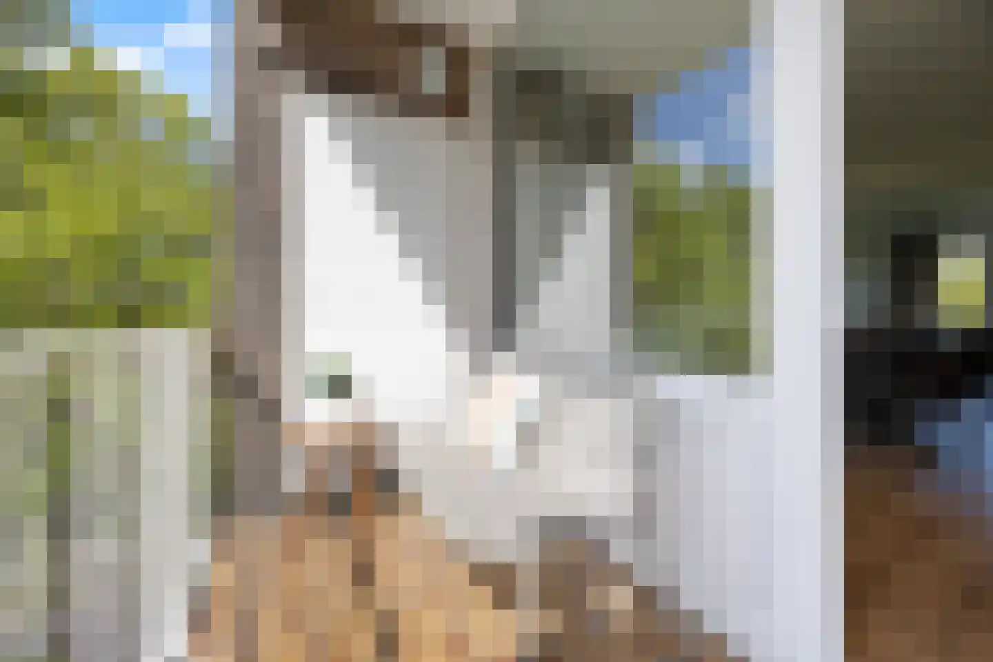 Dingostraat 8 Nijmegen thumbnail 8