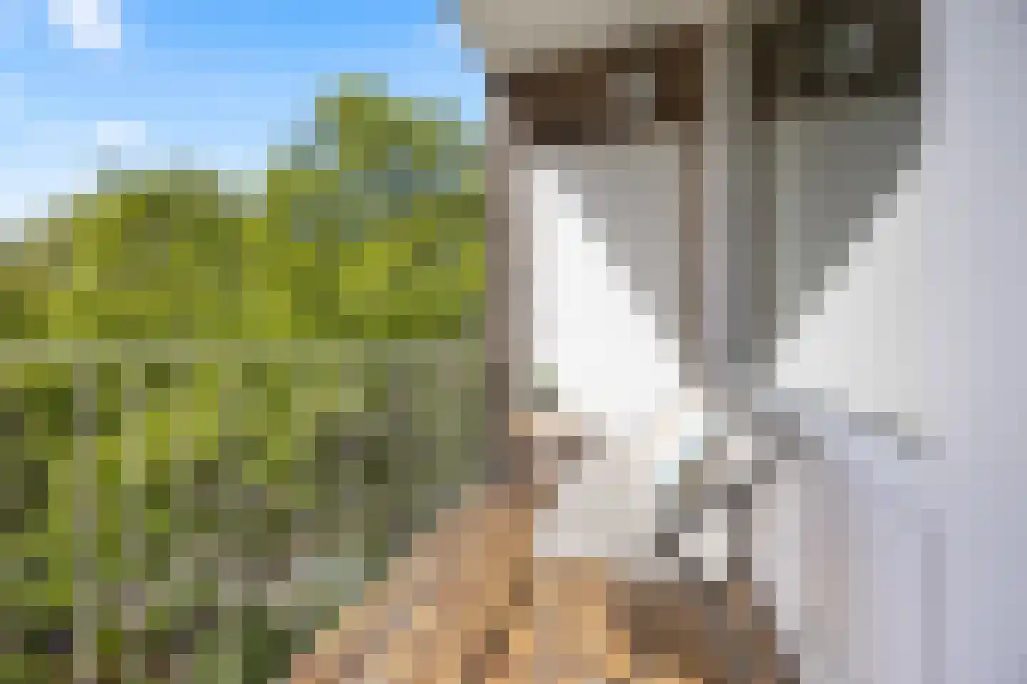 Dingostraat 8 Nijmegen thumbnail 9